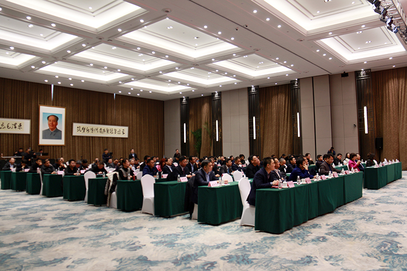 民營(yíng)企業(yè)高質(zhì)量發(fā)展，德才集團(tuán)再獲殊榮領(lǐng)跑民企(圖4)