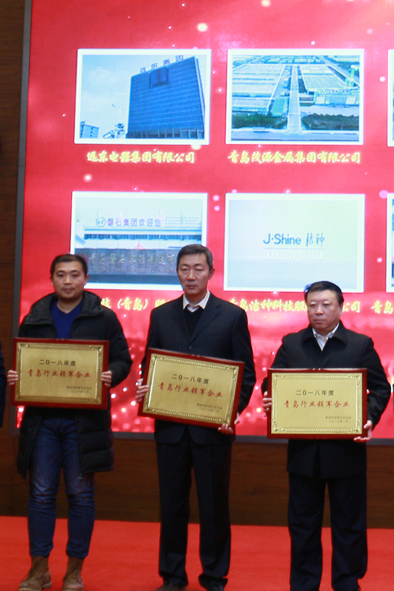 民營(yíng)企業(yè)高質(zhì)量發(fā)展，德才集團(tuán)再獲殊榮領(lǐng)跑民企(圖6)