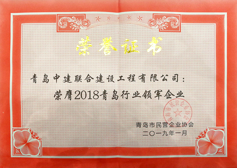 民營(yíng)企業(yè)高質(zhì)量發(fā)展，德才集團(tuán)再獲殊榮領(lǐng)跑民企(圖8)